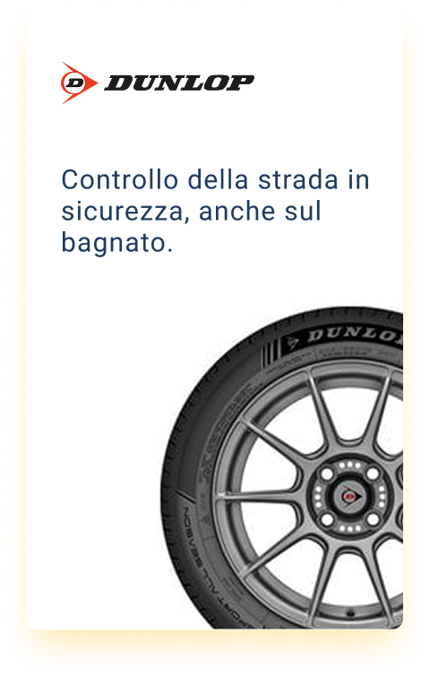 Luciano Gomme 51 Card Dunlop 2