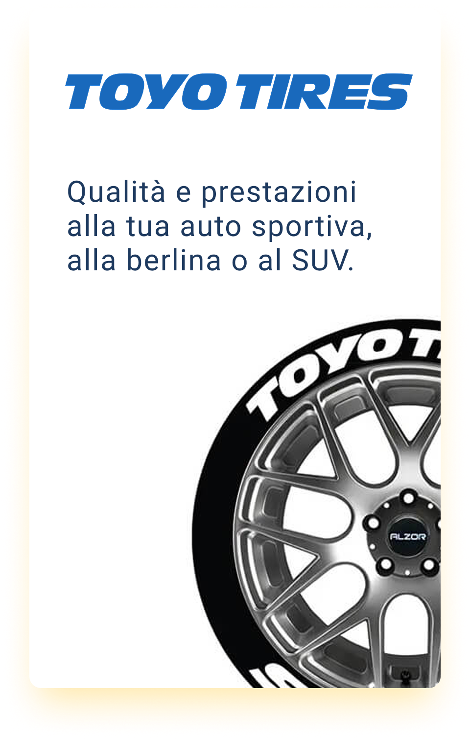 Luciano Gomme 57 Card Toyo